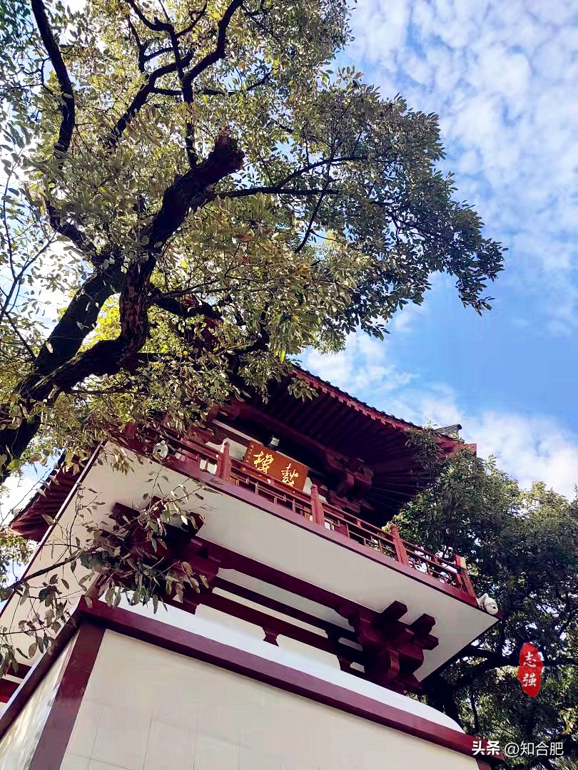 合肥秋游哪里好玩,合肥秋游