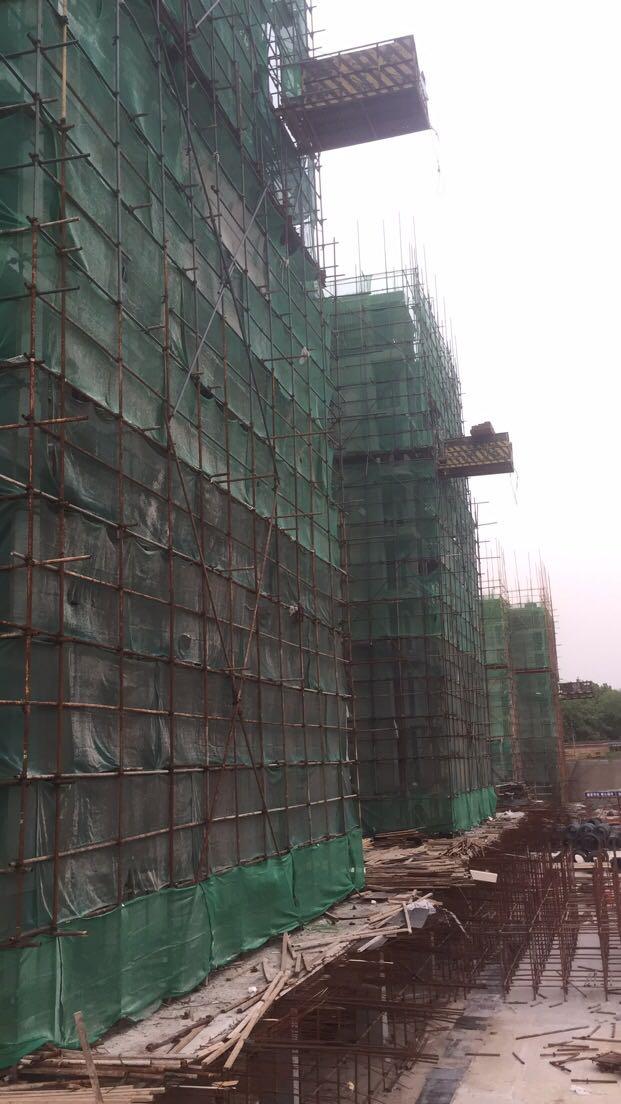 我的199730集,我的1997小说大结局