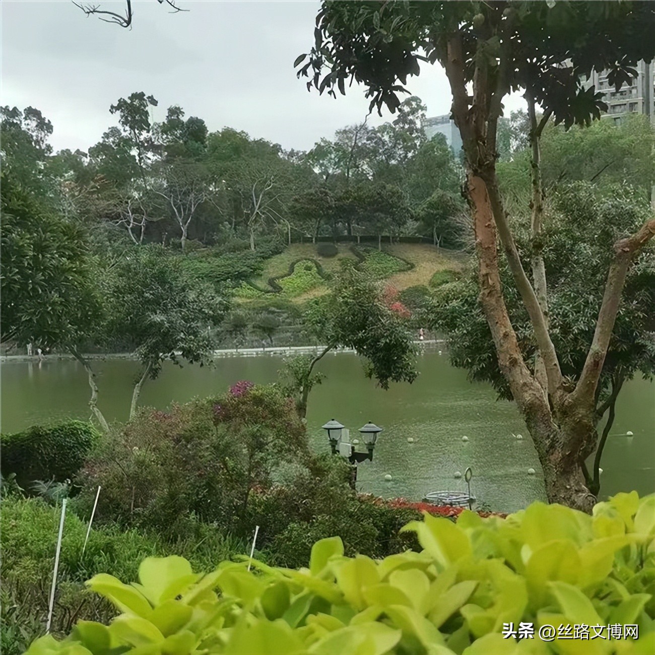 黄河名家‖诗咏魅力珠海