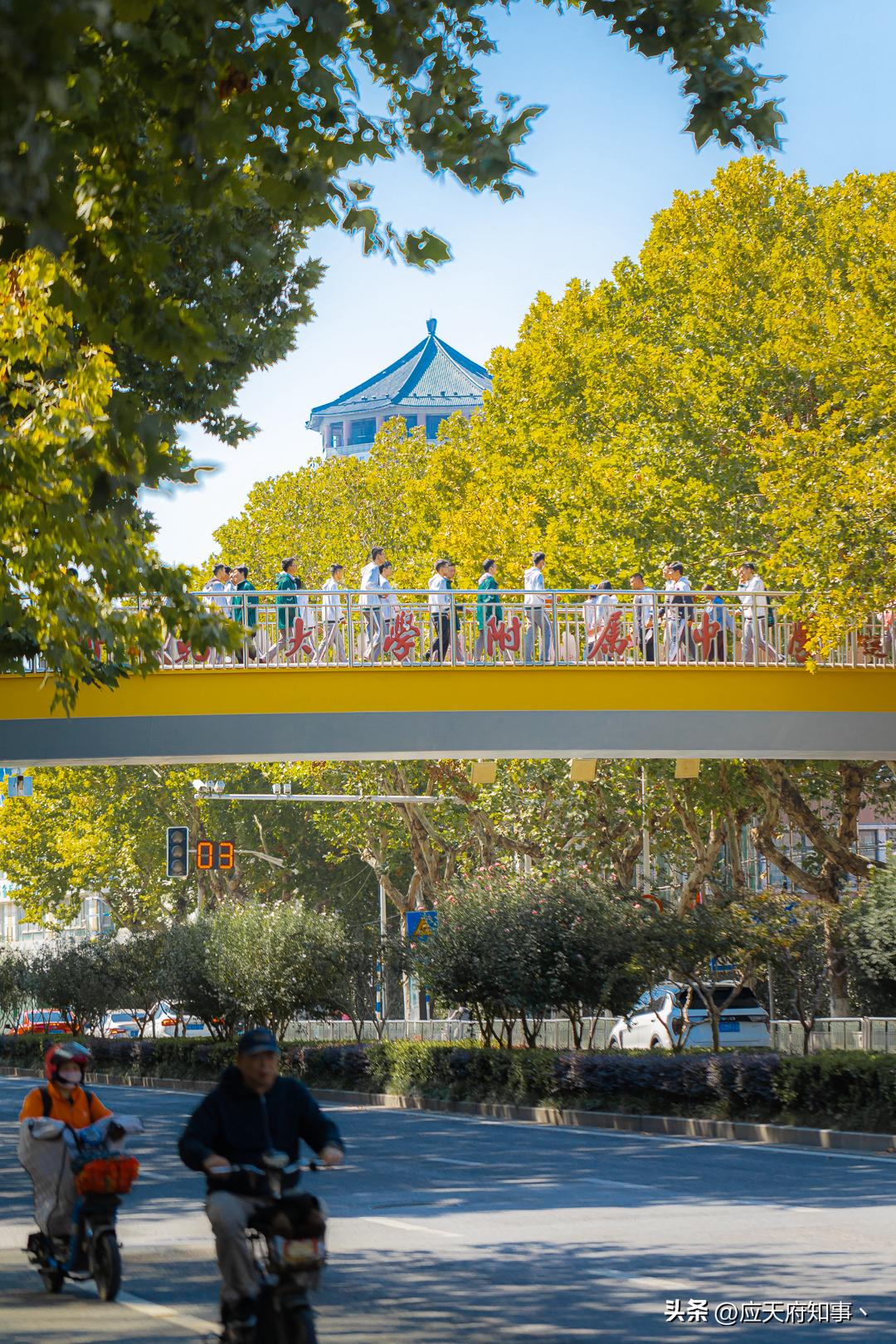 南京再回来是绿码吗,南京站到察哈尔路公交车