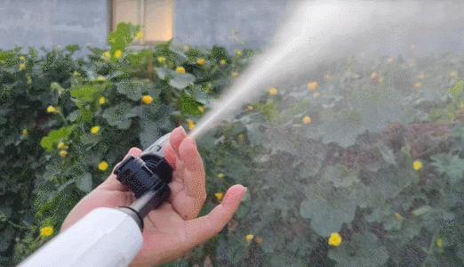 乐空折叠式多功能清洗机,小型便携式多功能高温高压清洗机