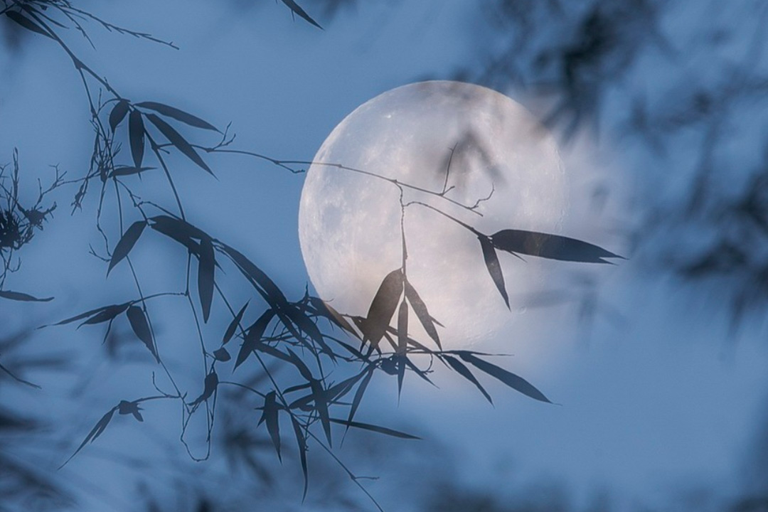 苏轼10首经典文章,苏轼最妙的短篇仅85个字