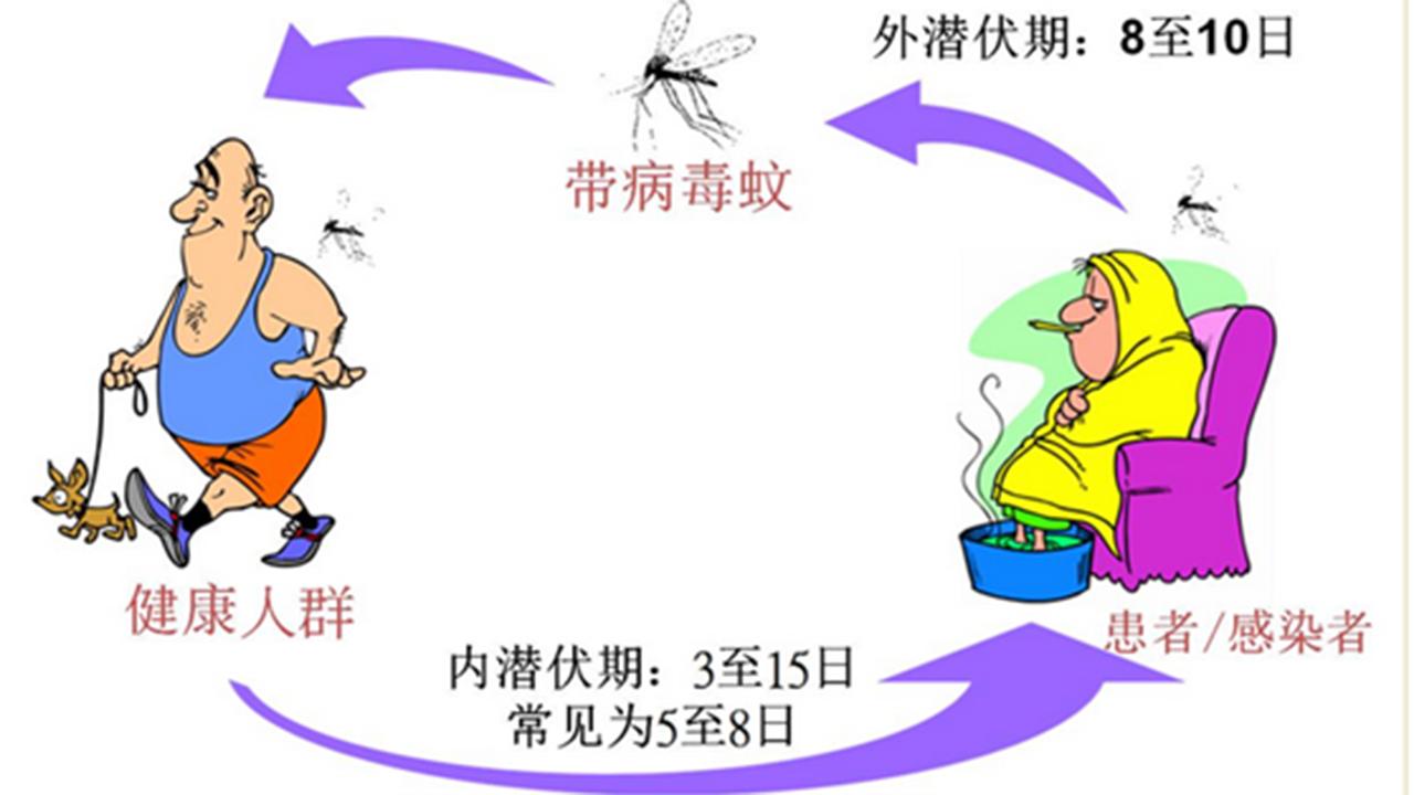 男子被蜘蛛咬了一口居然没事,男子被蜘蛛咬伤后进icu
