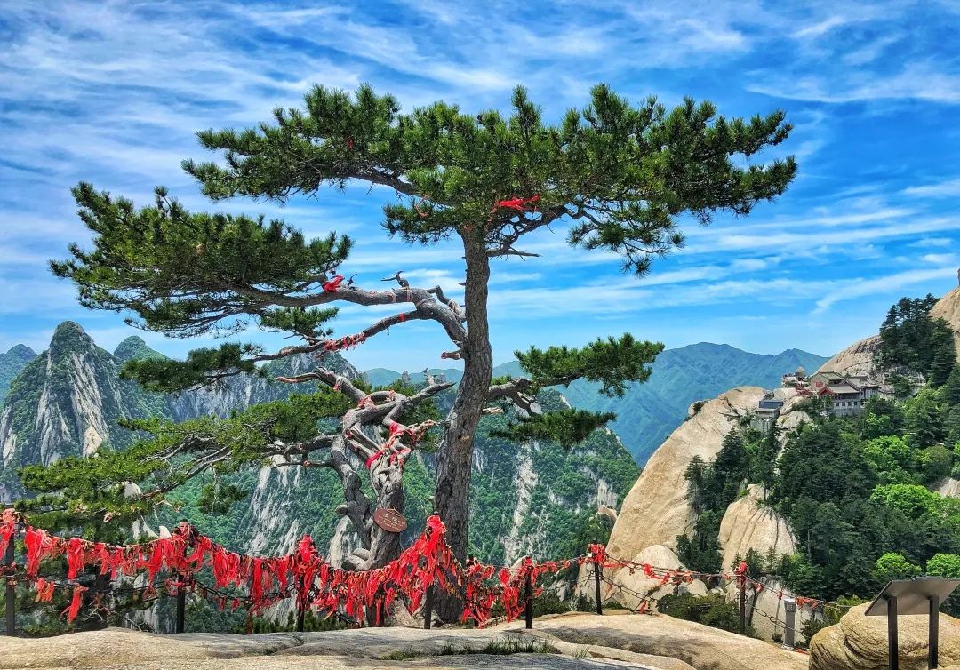 你眼中的华山的样子,这是你眼中的西安吗