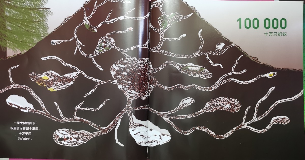 绘本和我一起数星星,儿童绘本推荐3-6岁星星主题