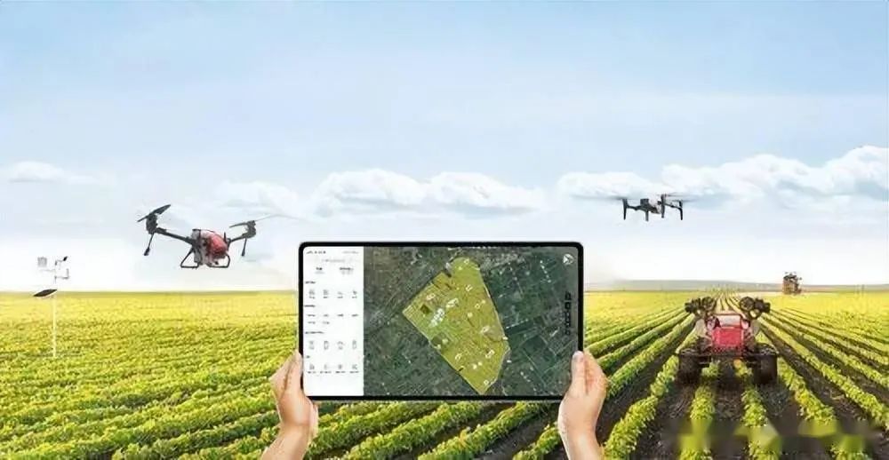 插上科技“翅膀”，油莎豆事业进入智能机械时代！