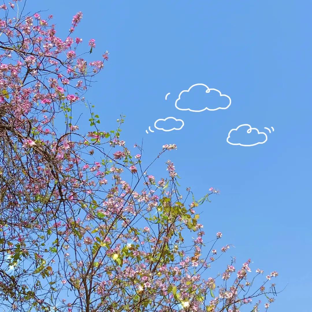 天津可以搭帐篷野餐的郊野公园,天津野餐烧烤