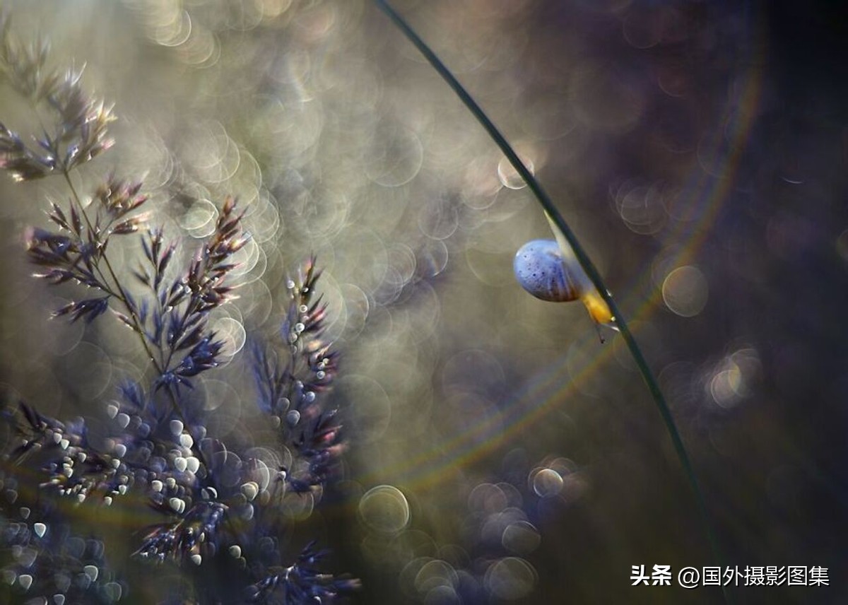 最美的景色秋天照片高清,夏天和秋天的绝美照片