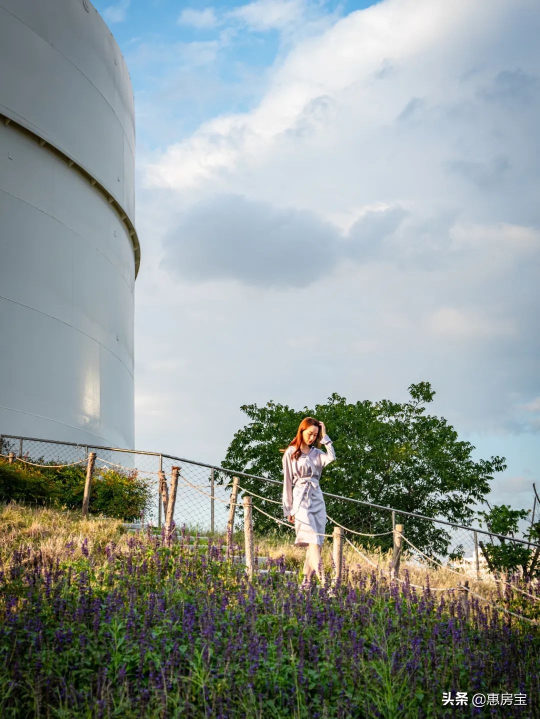 上海公园免费,上海免费公园排行