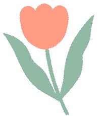 深圳宝安三天两夜旅游攻略,深圳宝安推荐2-3天游