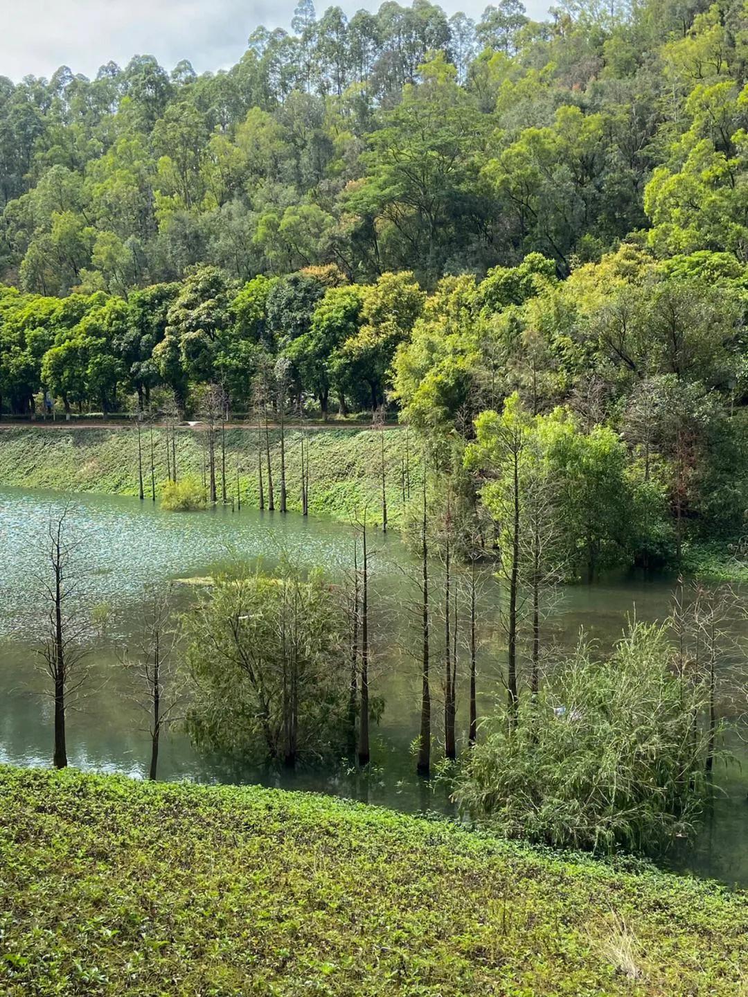 广州市47个免费游玩的地方,广州最适合一日游的57个免费景点