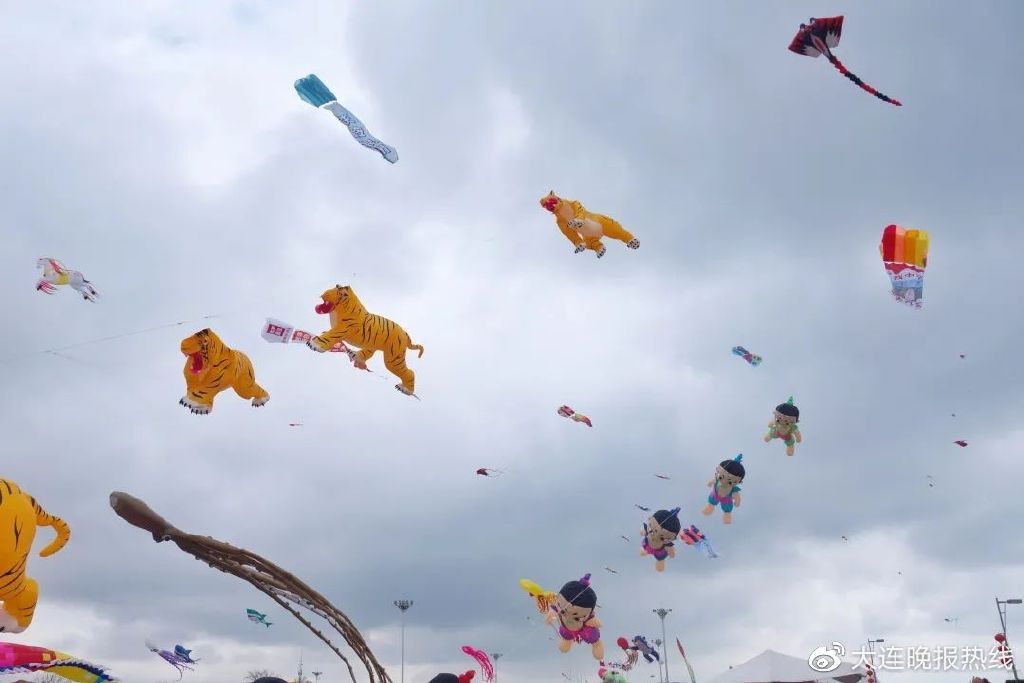 章鱼老板烧章鱼,章鱼老板第二季