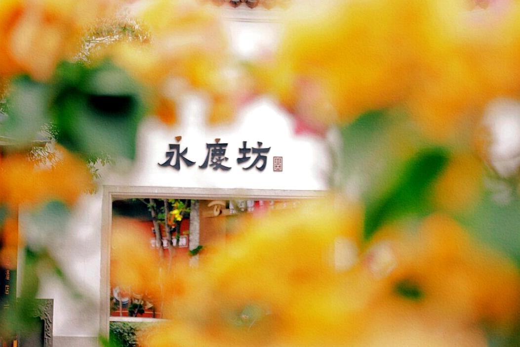 在广州旅游的真实感受,广州旅游必去十大城市