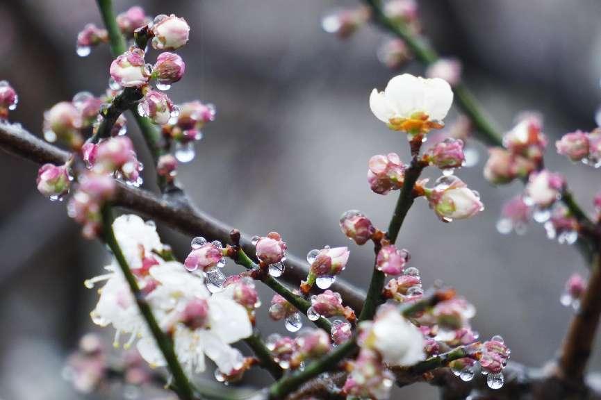 新春攻略生肖派对,新年怎么玩好玩