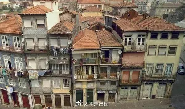 奇奇怪怪可可爱爱语录集,世界奇奇怪怪而你可可爱爱什么梗