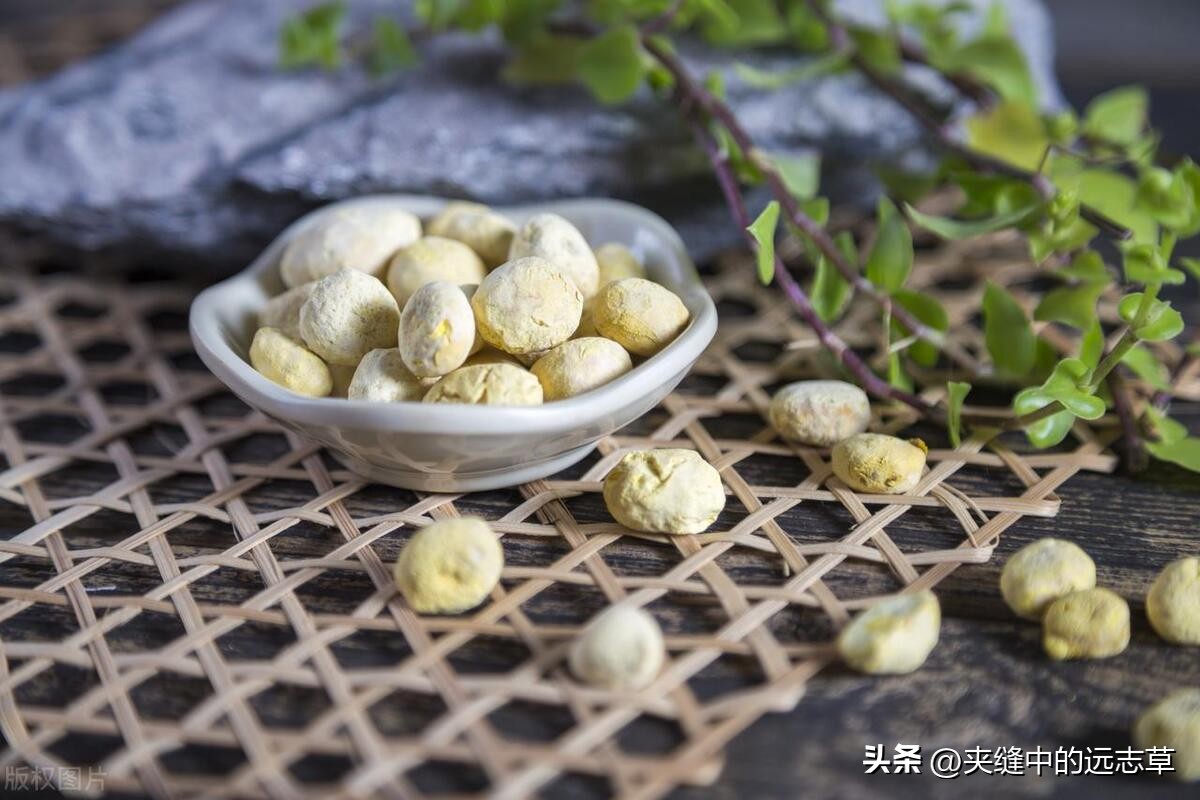 咳嗽有白痰也有黄痰中医,干咳痰少黄痰是风寒还是风热