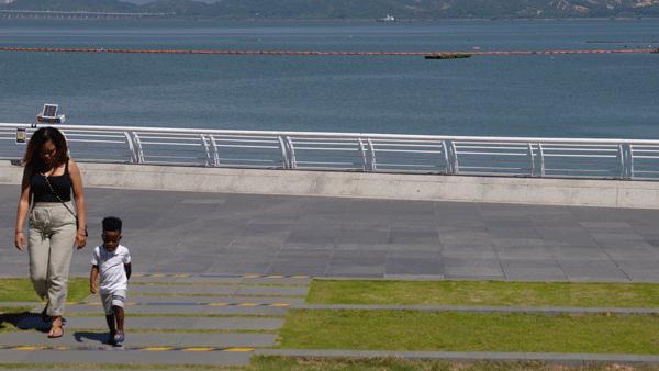 千万不要来深圳打工,深圳蛇口打工人的生活