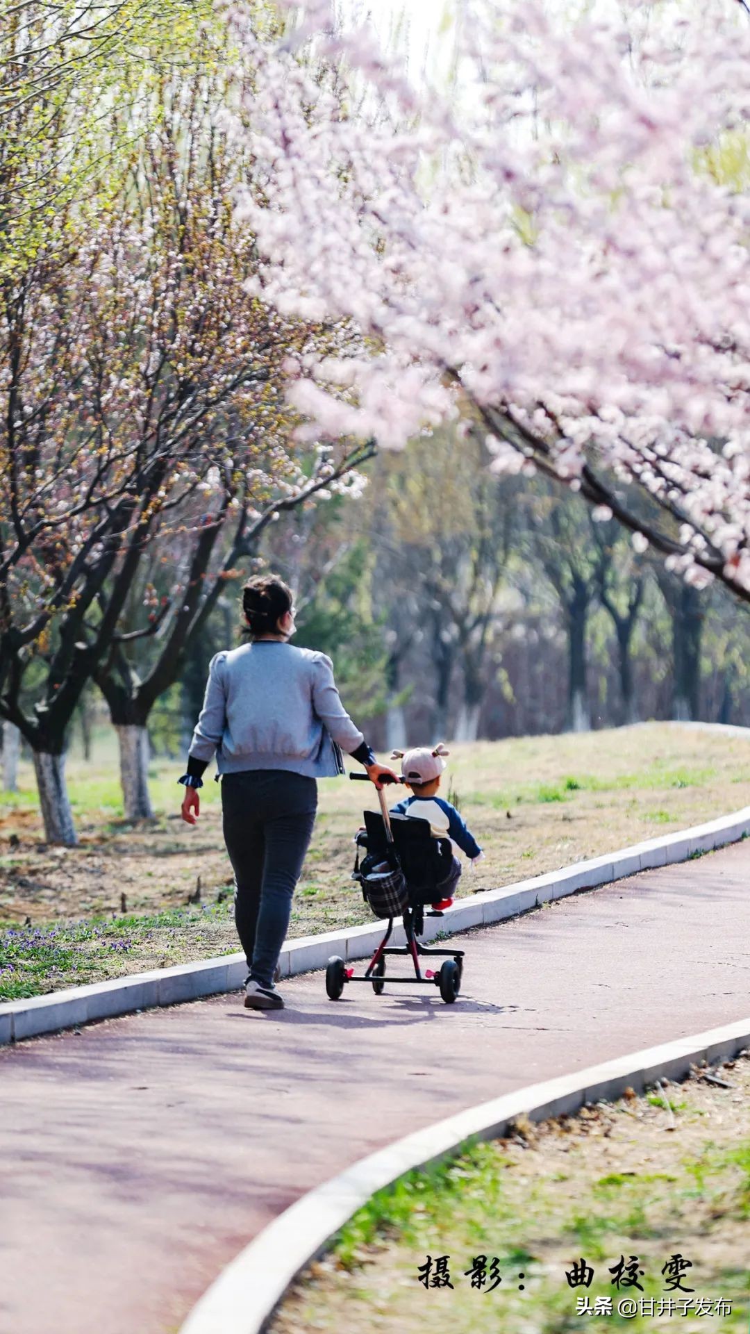 甘井子踏青,大连甘井子踏青好去处