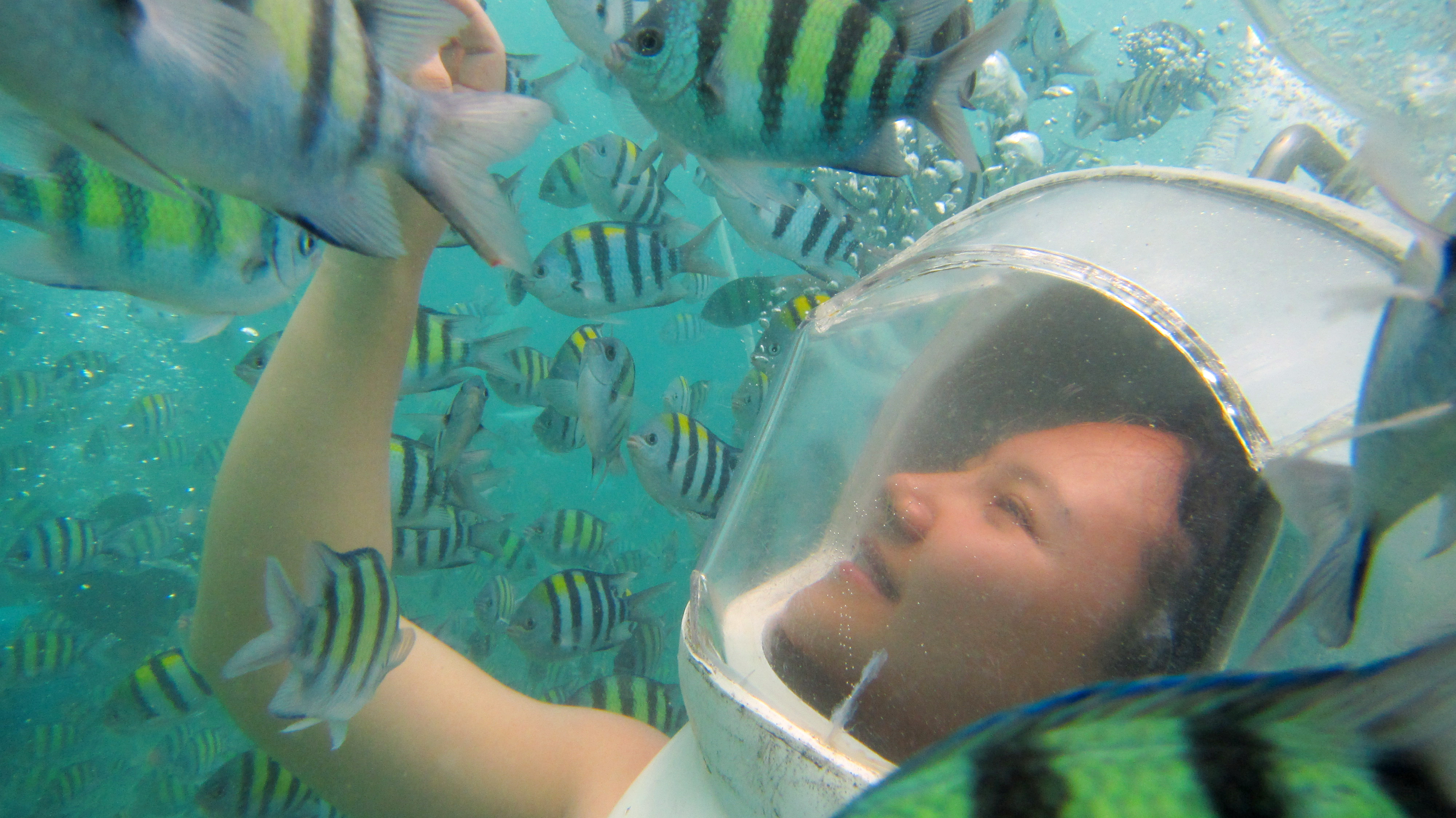 泰国三亚旅游对比,三亚和泰国旅游选择哪里