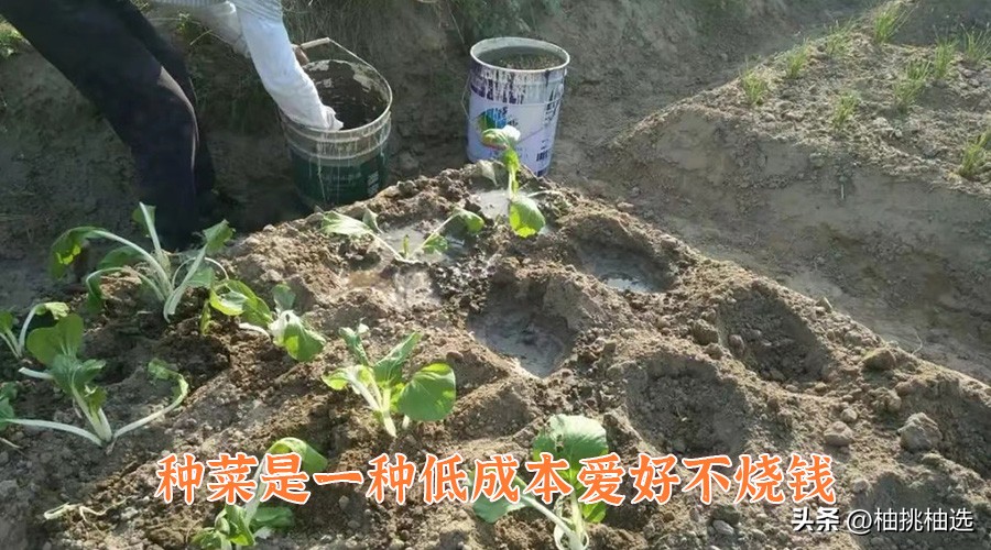 18个赚钱的副业有哪些,低成本不烧钱的爱好