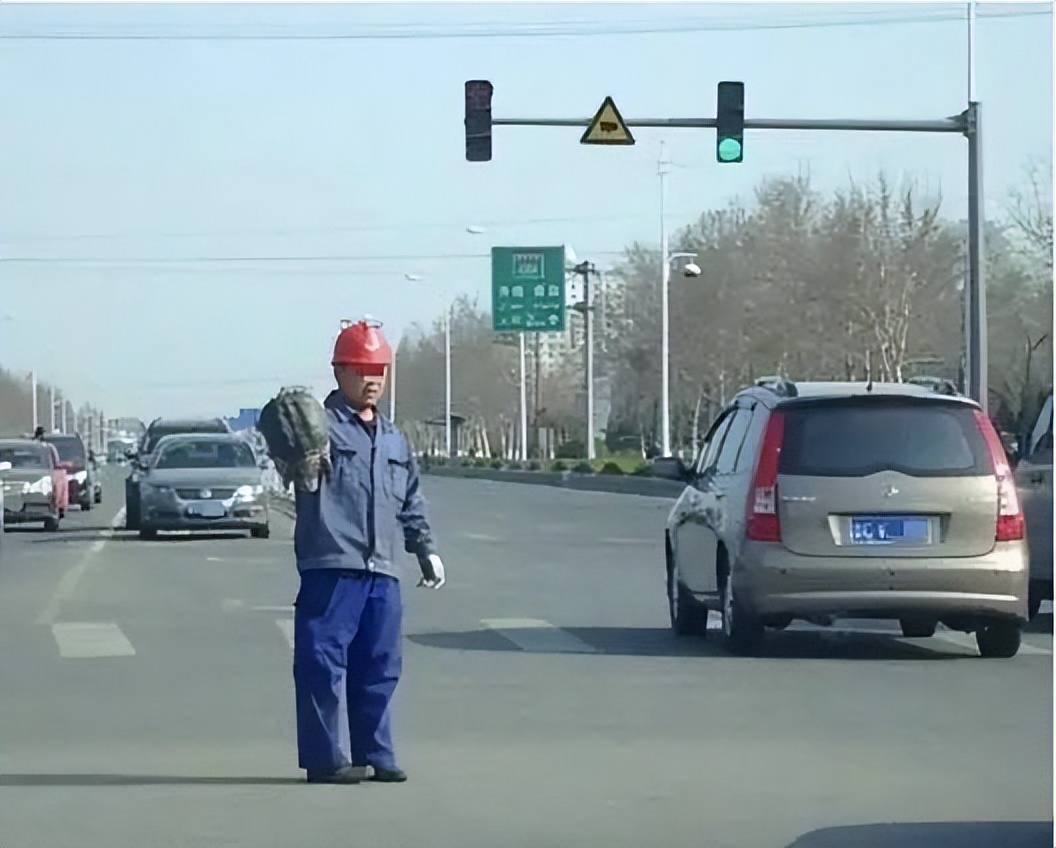 买了一只乌龟有什么预兆,路边800块钱买6只大乌龟