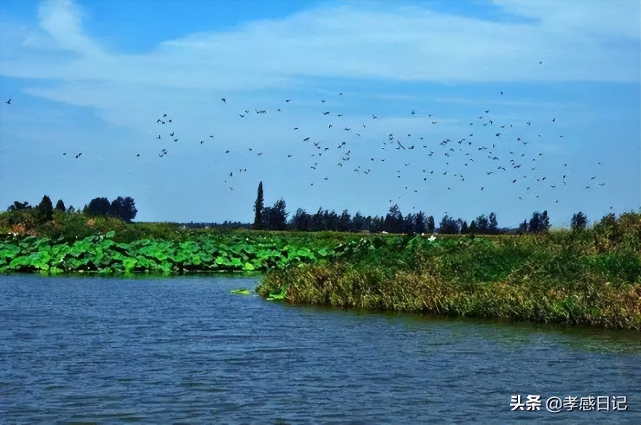 总投资一百亿元湿地公园,90亿巨资的河滩公园