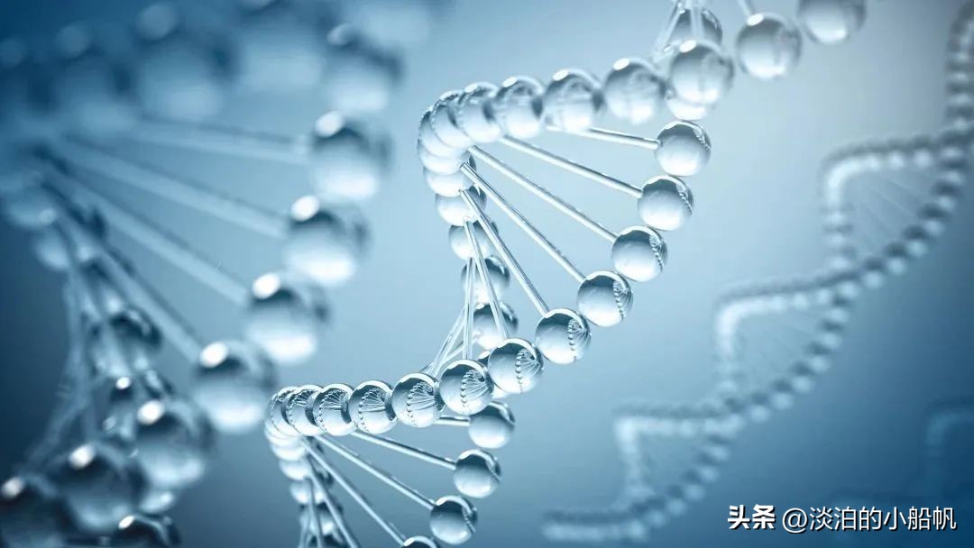 儿童身高标准变矮了,2022年儿童身高新标准