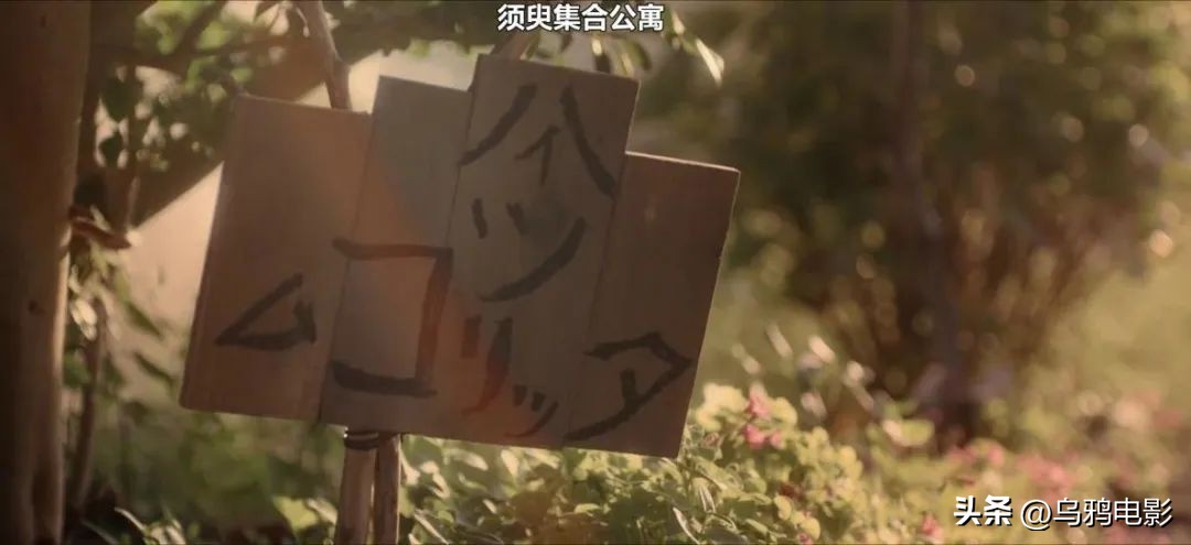 豆瓣8.1！日本杀疯了，又拍了部过不了审的…