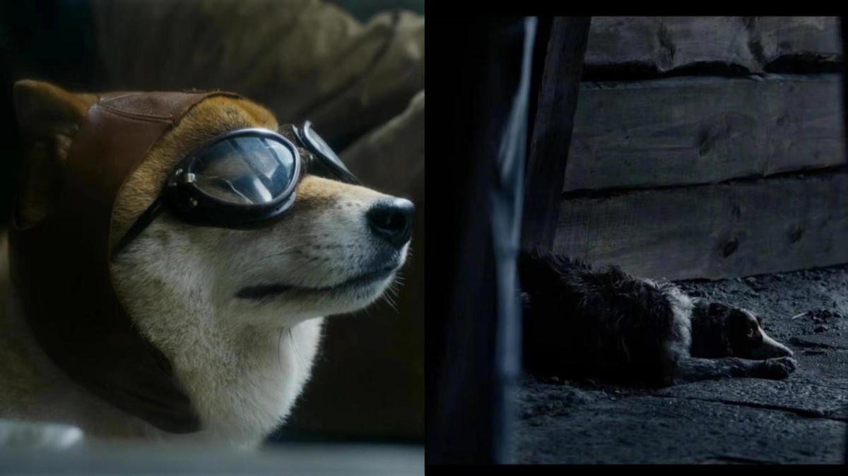 《无名》：春节档被低估的好电影！