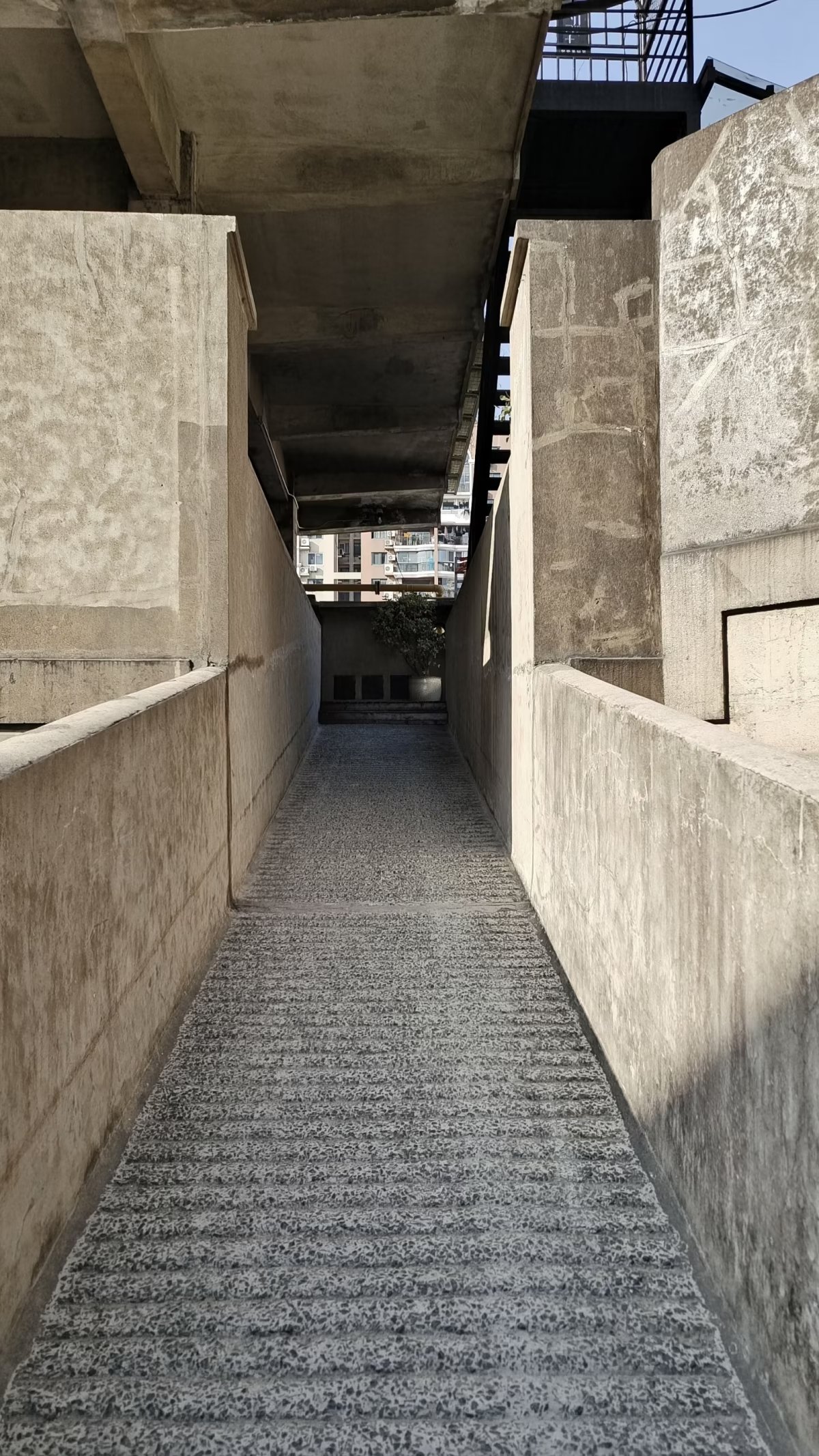 上海研学计划三天两夜,上海研学两日游