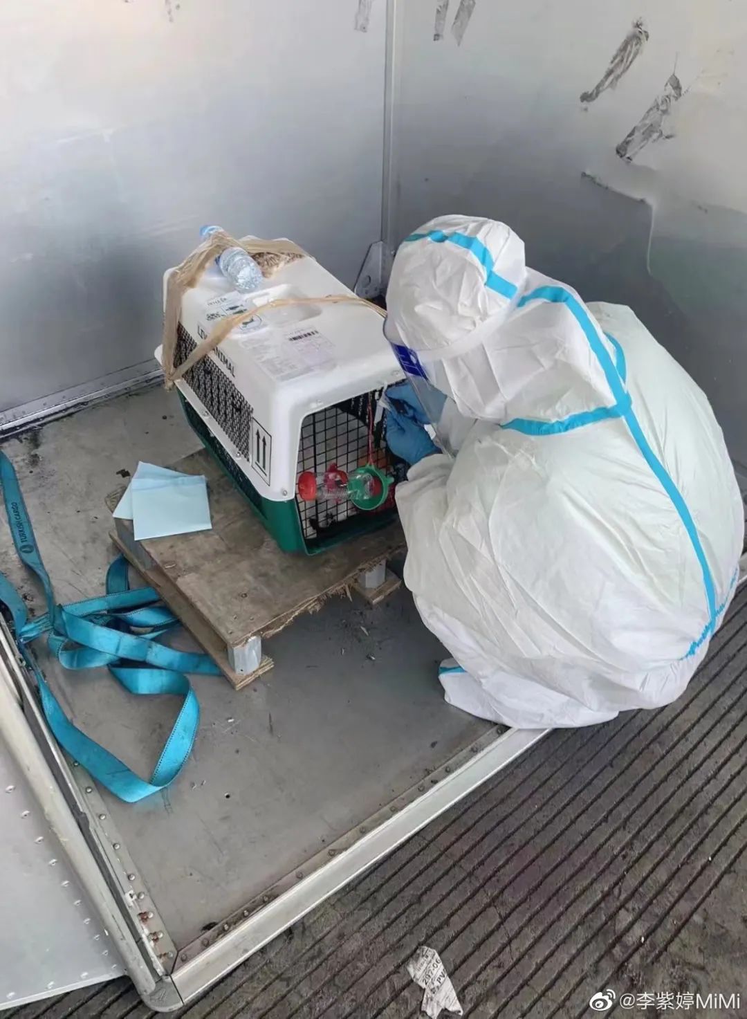 宠物托运出意外谁负责,宠物托运出问题是谁的责任