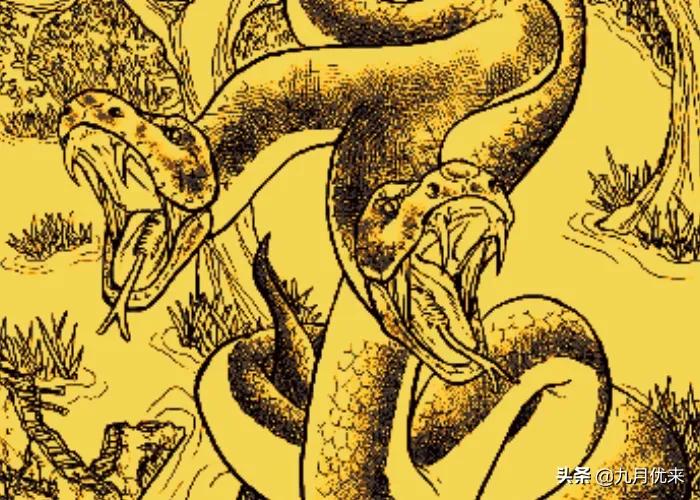 中国民间神话故事关于蛇,农夫救蛇的神话故事