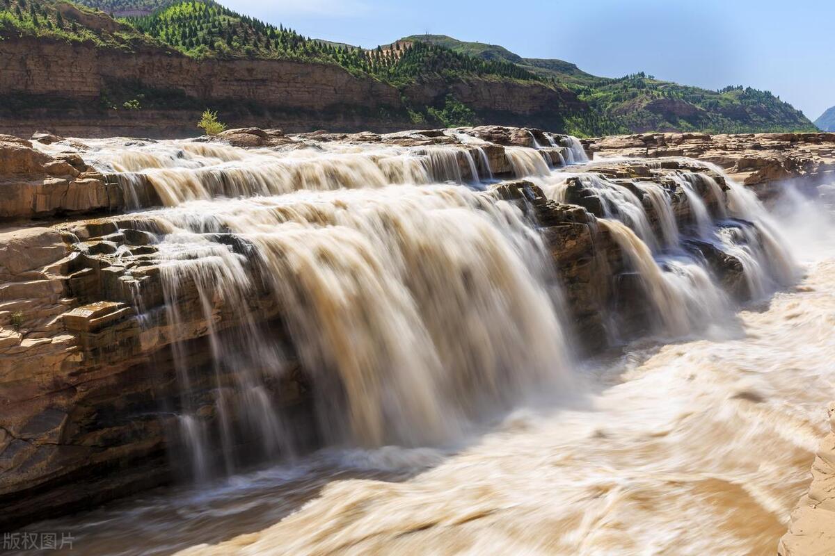 狮子座雄才大略,狮子座人生赢家