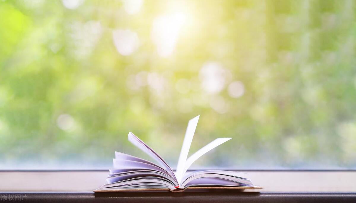 老侯|磊子新书《蝼蚁》阅读笔记