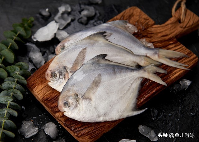 俄罗斯猫粮贵吗,猫冬干粮价格表