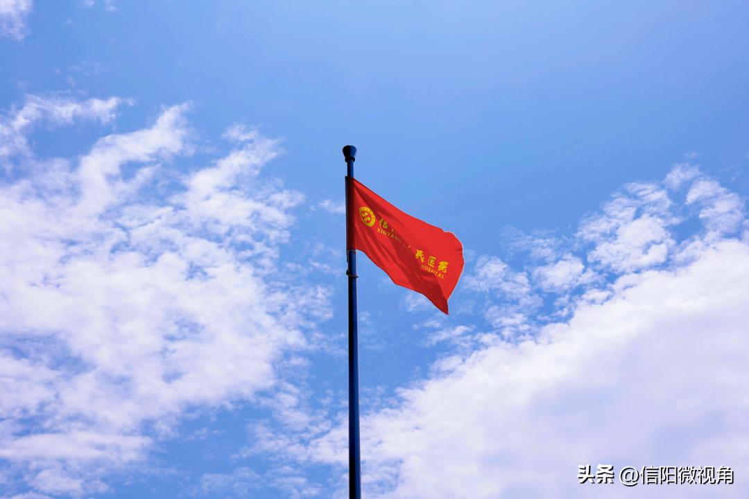 夏日限定!带您沉浸式体验信阳市人民医院的绿意芳香