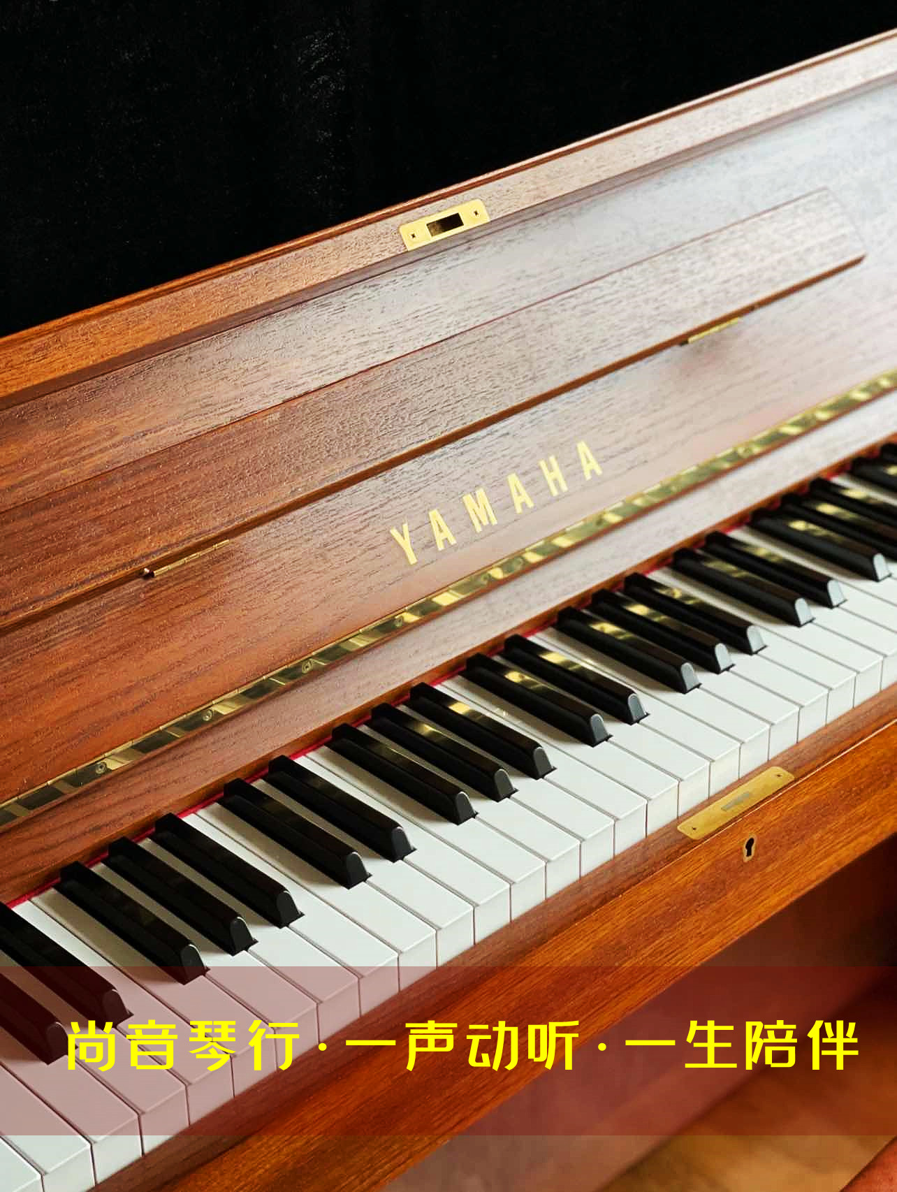 天津原装进口钢琴哪家好?天津进口琴购买地