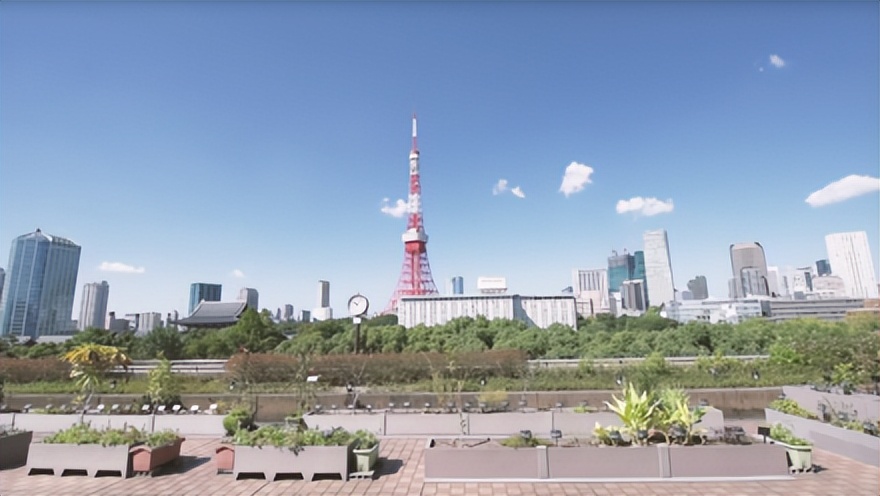 鏃ユ湰搴嗗簲涔夊【澶у瀛﹁垂,搴嗗簲涔夊【澶у鏃ユ湰鎺掑悕