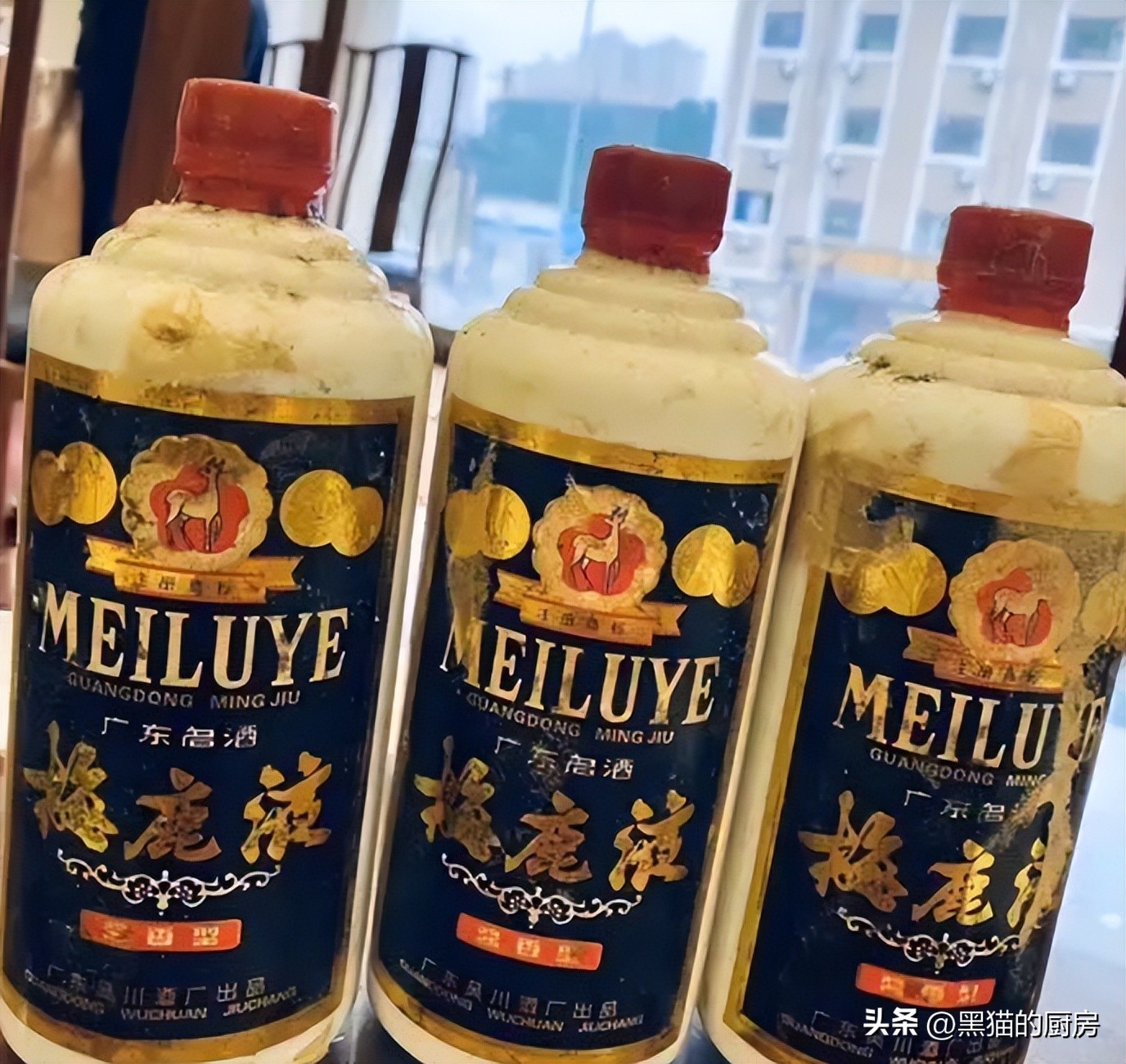 骞夸笢鍗佸ぇ缁忓吀鐧介厭,骞夸笢鍥涘ぇ鍚嶉厭鐧介厭