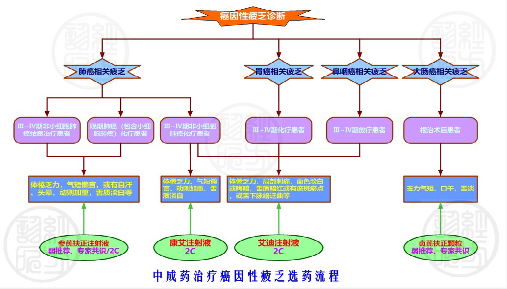癌因性疲乏中医如何调理,国家批准的十个治癌中成药