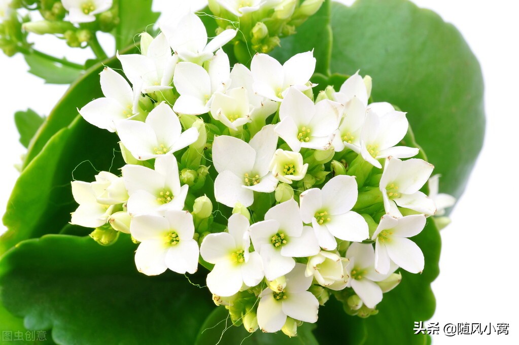 表哥跟我借300元,表哥借了200块提都不提了