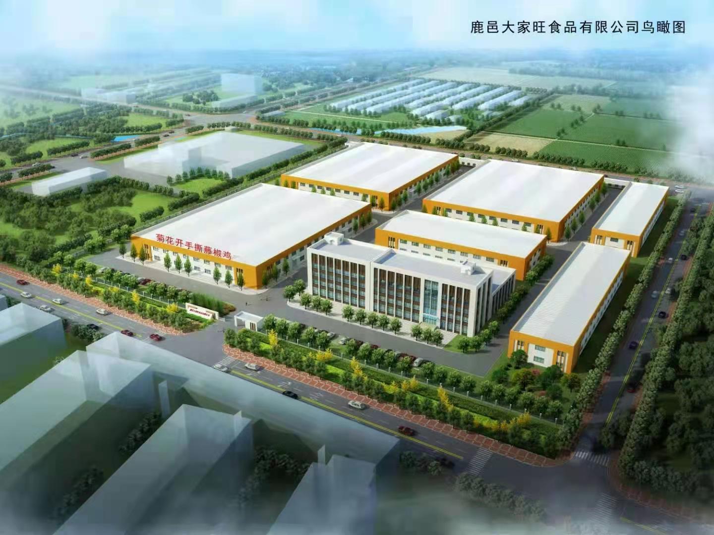 鹿邑菊花厂,鹿邑菊花种植户有哪些