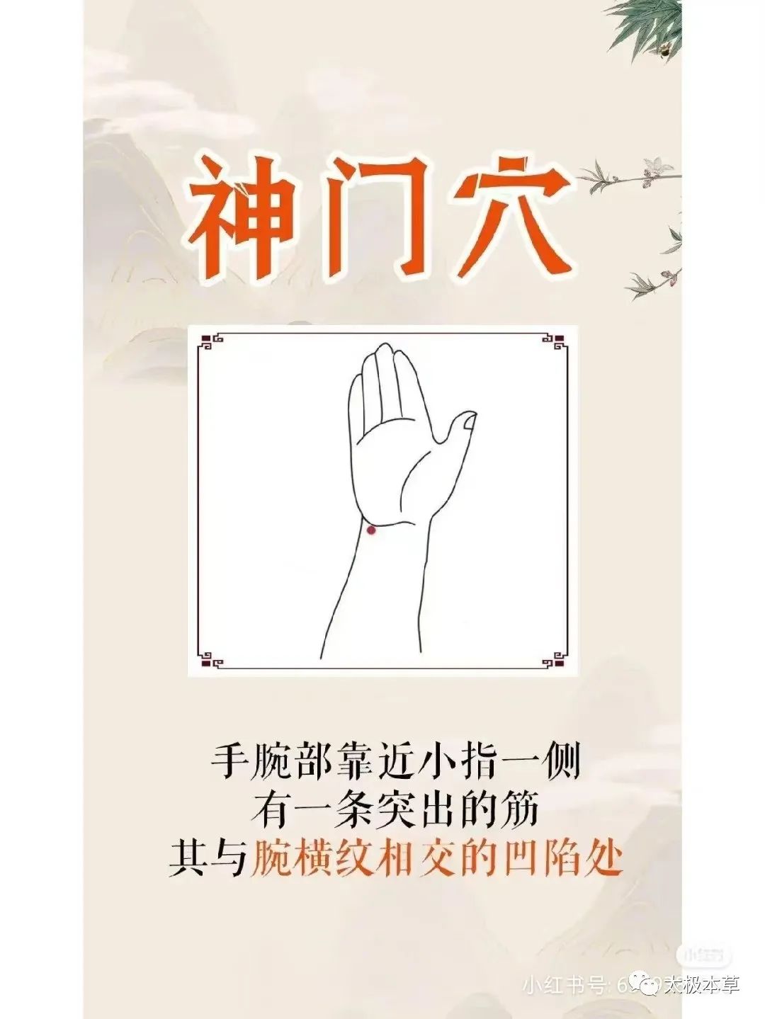 心率过快的药,心率90到100左右按哪个穴位