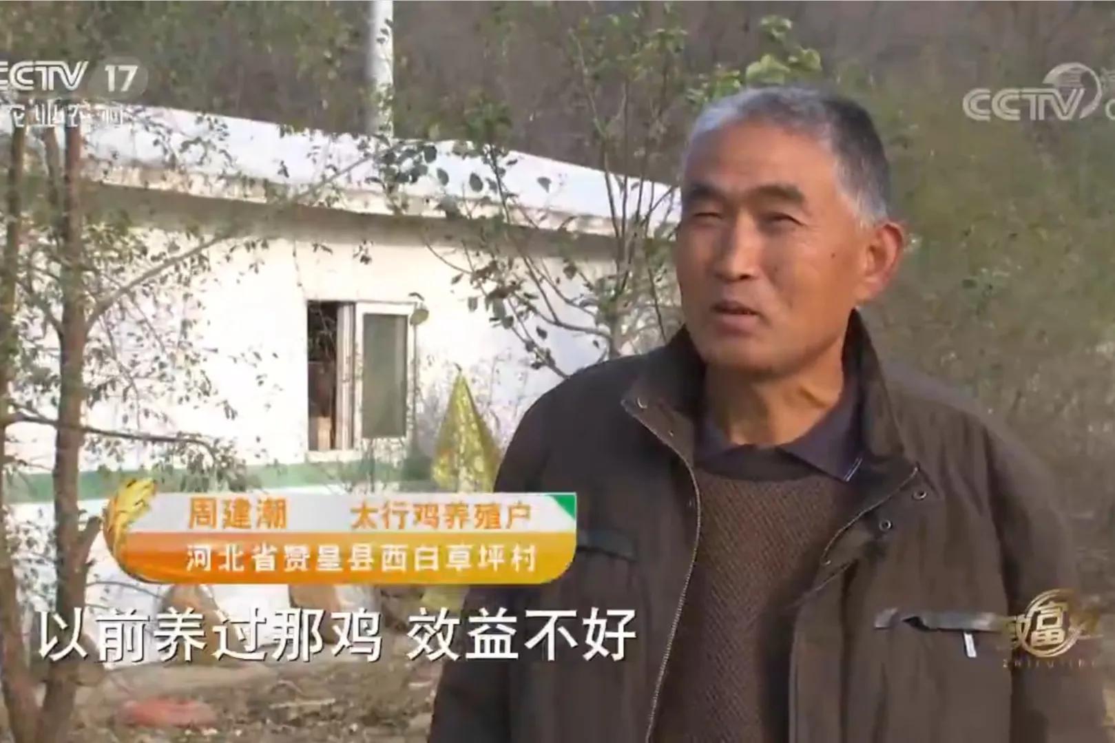 200亩荒山变成聚宝盆,荒山摇身一变成村民聚宝盆