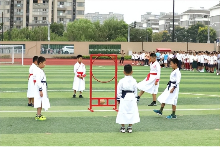 暑假神兽回归减肥训练营,神兽暑期实践