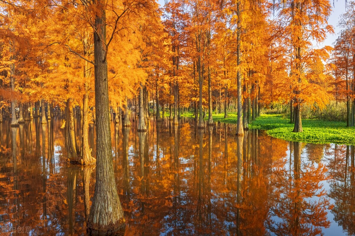 秋日上海好去处,上海秋日风景