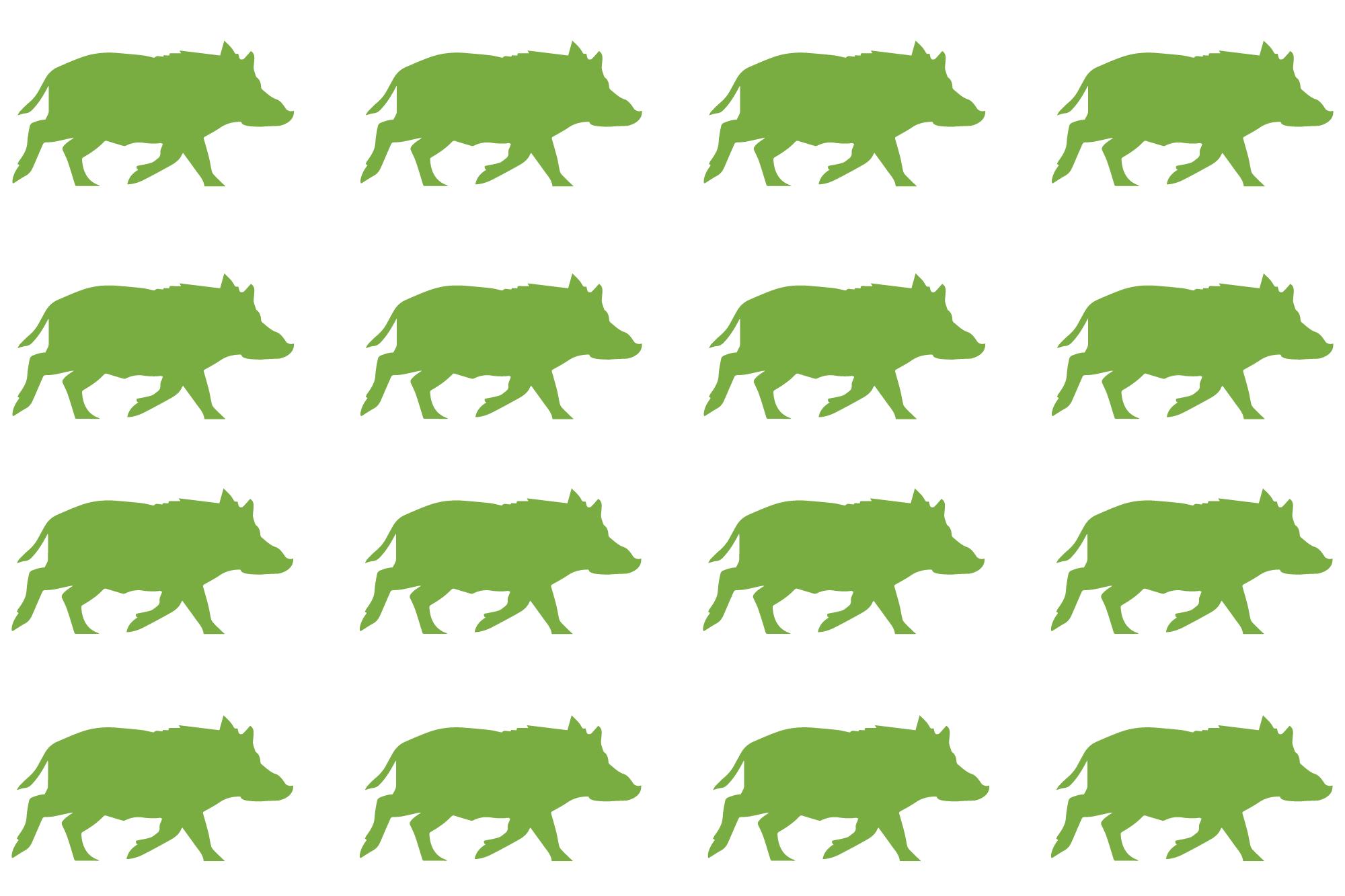 非洲红河猪种群泛滥,数量高达700万头,为何不将其引进中国?