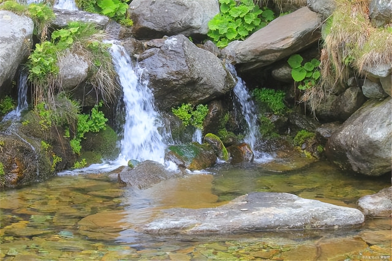 销售励志早安心语正能量句子,早安心语正能量励志视频