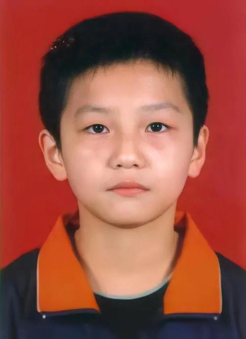 国乒马龙樊振东,樊振东国乒一哥