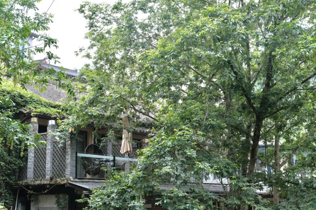 杭州冬日旅游自驾,杭州周边避暑两日自驾游攻略